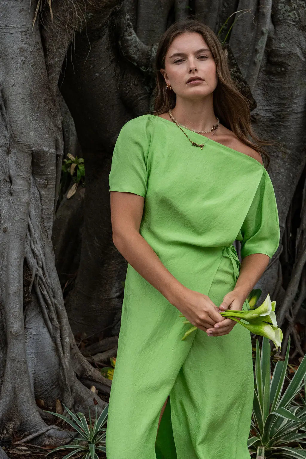 Parker Dress Roseanna