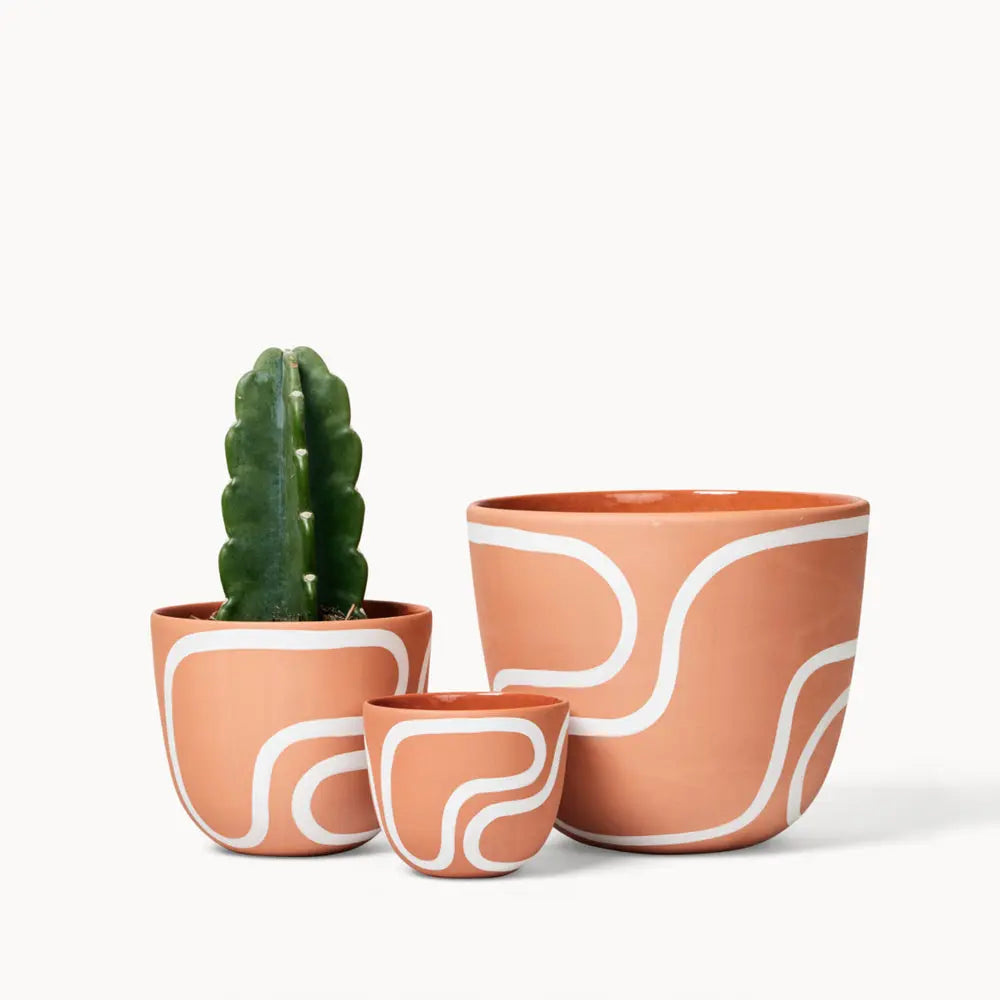 Terracotta Planter Franca