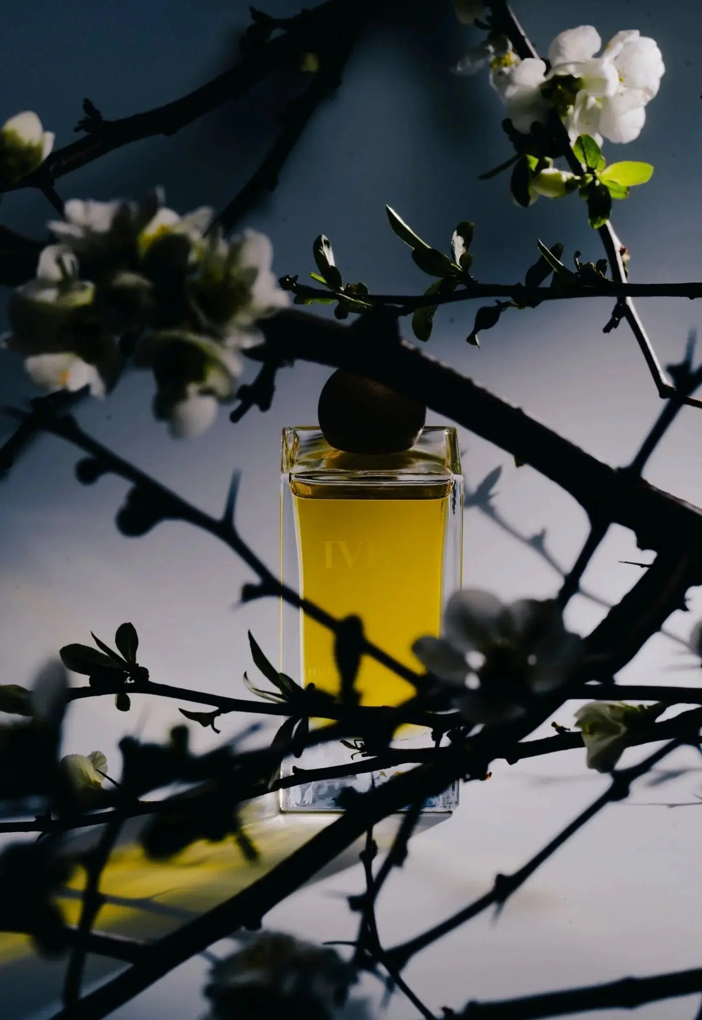 Huile de Parfum Body Oil IVEY
